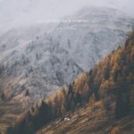 Comfort Deep, Lexiton Deep SA – Oblivion