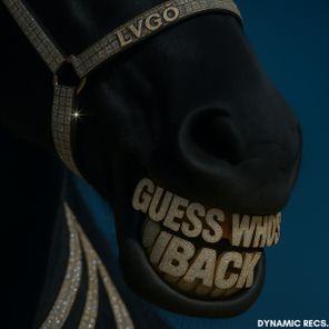 Lvgo – DYNAMIC FREE DL 01