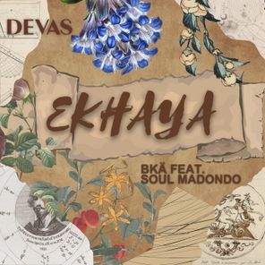 BKÄ, Soul madondo – Ekhaya