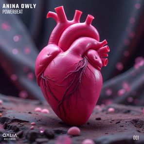 Anina Owly – Powerbeat