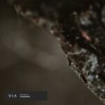 Section 63, Peter Kurten – Tolerance