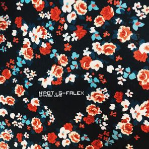 N’Pot, G-Falex – Strange Love