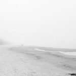 e998e31e b342 4261 9aa7 881f455e720d