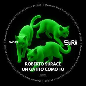 Roberto Surace – Un Gatito Como Tù