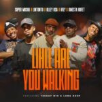 HFLY, Teekay M10 – Lihle Are You Walking