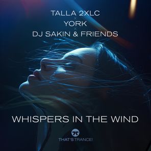 Talla 2XLC, DJ Sakin & Friends – Whispers In The Wind