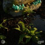 Cloo – Grounded
