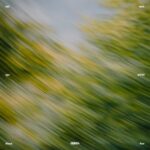 Igor Gonya – Laidback Ithaca Flow