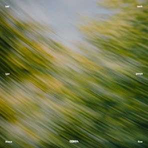Igor Gonya – Laidback Ithaca Flow