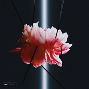 Marc Wiese – Entre sombras y luz