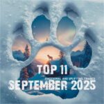 SounEmot, Andy Lizard – Top 11 September 2025 Emotional and Uplifting Trance