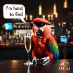 ANGEL PARILLI – I’m Hard to Find