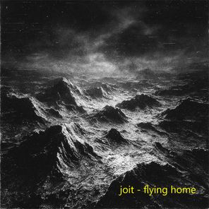 joit – Flying Home