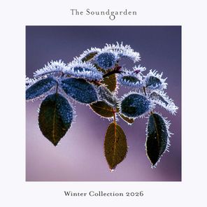 Rauschhaus, Supacooks – Winter Collection 2026