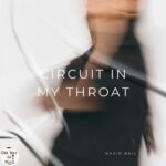 David Bail - Circuit in My Throat 3 David Bail – Circuit in My Throat
