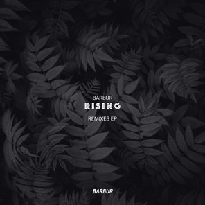 Barbur, Ornery – Rising Remixes EP