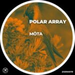 MÖTA – Polar Array
