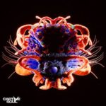 Be No Rain, Korolova – Distorted Love