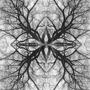 RasadRashi – End of winter