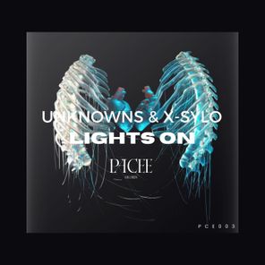 UnknownS, X-sylo – Lights On