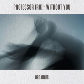 Professor (RO) – Without You