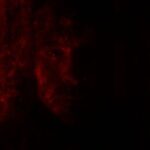 1352fd03 ad8d 402b bf69 536037d53922