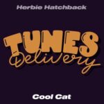 Herbie Hatchback – Cool Cat