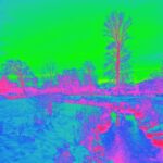 Toxic Scientist – Fractal Teeth / Big Steps