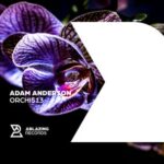 Adam Anderson – Orchis13