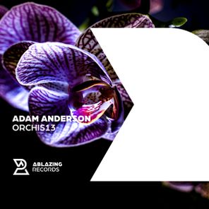 Adam Anderson – Orchis13