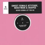 Skapes, Sweet Female Attitude – Never Gonna Let You Go (Club Mix)