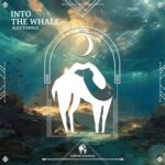 Cafe De Anatolia, Alex Tarolo – Into the Whale