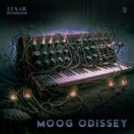 Lunar Mushroom – Moog Odissey