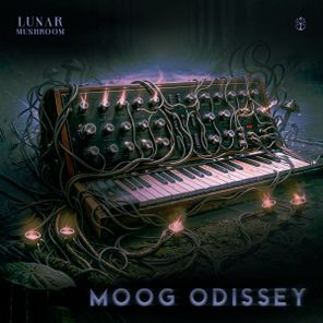 Lunar Mushroom – Moog Odissey