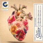 1f2e7381 16cf 472a be05 8867c7ad8af8