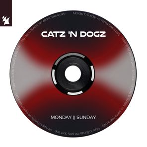 Catz ’n Dogz – Monday || Sunday