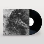 Paulitical – Basement Exiles