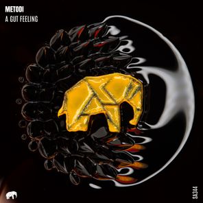 METODI – A Gut Feeling