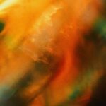 22d1ee09 4aef 4a91 a598 ea9f77c0049d