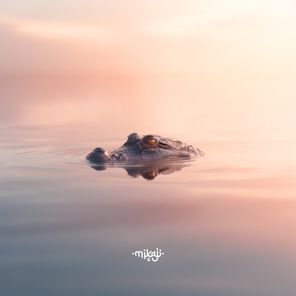 Mikaji – Kaïman