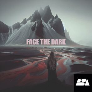 BSA – Face the Dark