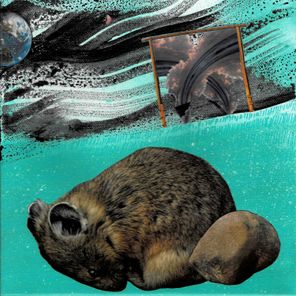 Ian Ellison, Alighted – Refuge