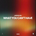 Larsson (BE) – What You Can´t Have