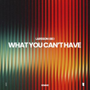 Larsson (BE) – What You Can´t Have