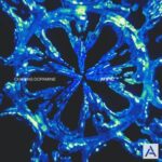 Atipic – Chasing Dopamine