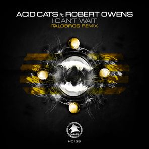Robert Owens, Acid Cats – I Can’t Wait