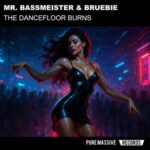 Mr. Bassmeister, Bruebie – The Dancefloor Burns