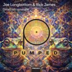 Joe Longbottom, Rick James EP – Dimethyltryptamine