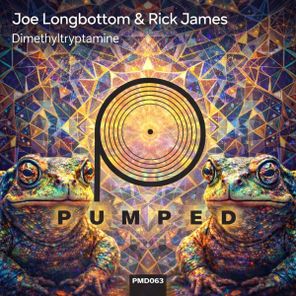 Joe Longbottom, Rick James EP – Dimethyltryptamine