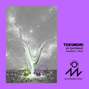 TOKUMORI – Sintergic